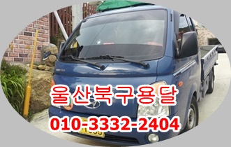 울산북구용달 모화 입실. 울산북구용달 모화 입실.