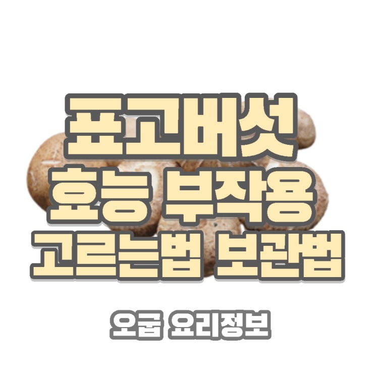  고기맛 나는 표고버섯 :) 효능 부작용 고르는 팁 보관 방법