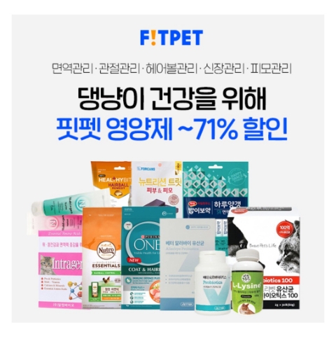  1월 13일 캐시워크 돈버는퀴즈 핏펫 정답