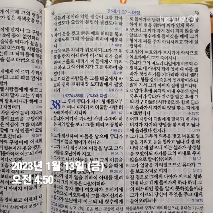  1월 13일 손목닥터 9988 참여-  손목 닥터  (새벽 기상 378일차)