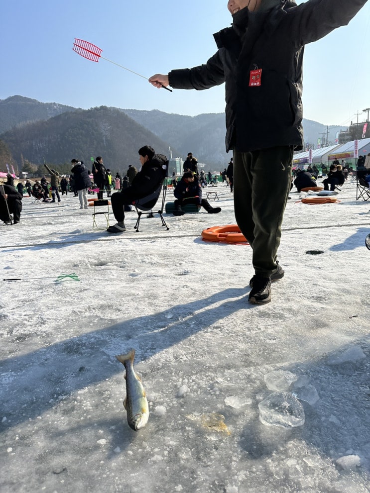  강원도 화천 산천어축제 즐기기 산천어잡는 꿀팁 대방출
