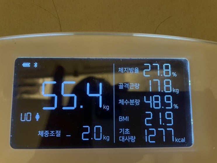  다이어트 7일