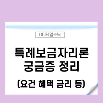  특례보금자리론 신청 자격 요건 대환 LTV DTI 2주택 관련 문답 정리