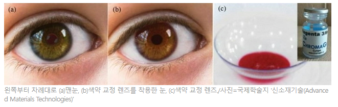 적록색맹 렌즈? 안경? 색약 교정 방법 총정리 : 네이버 블로그