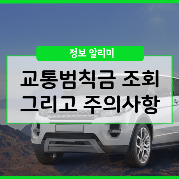  교통범칙금 조회방법 이보다 쉬울 수 있을까?