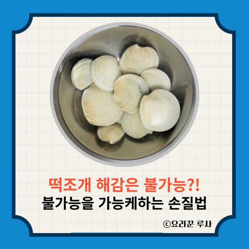 떡조개 해감은 불가능?! 일반 조개와 다른 주름떡조개 해감 방법