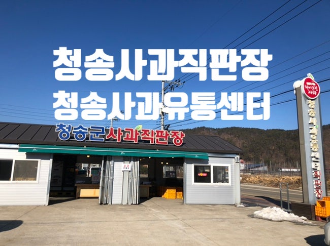 소노벨 청송 근처 사과 파는 곳 : 청송 사과 유통센터 직판장