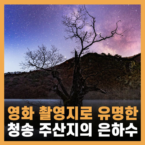  청송 가볼만한곳 - 사진명소, 영화촬영지 주산지 겨울 봄 그리고 은하수