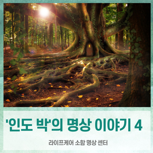  ['인도박'의 명상이야기 .4] 어떤 효과가 있나(소함명상, 이정훈 원장)