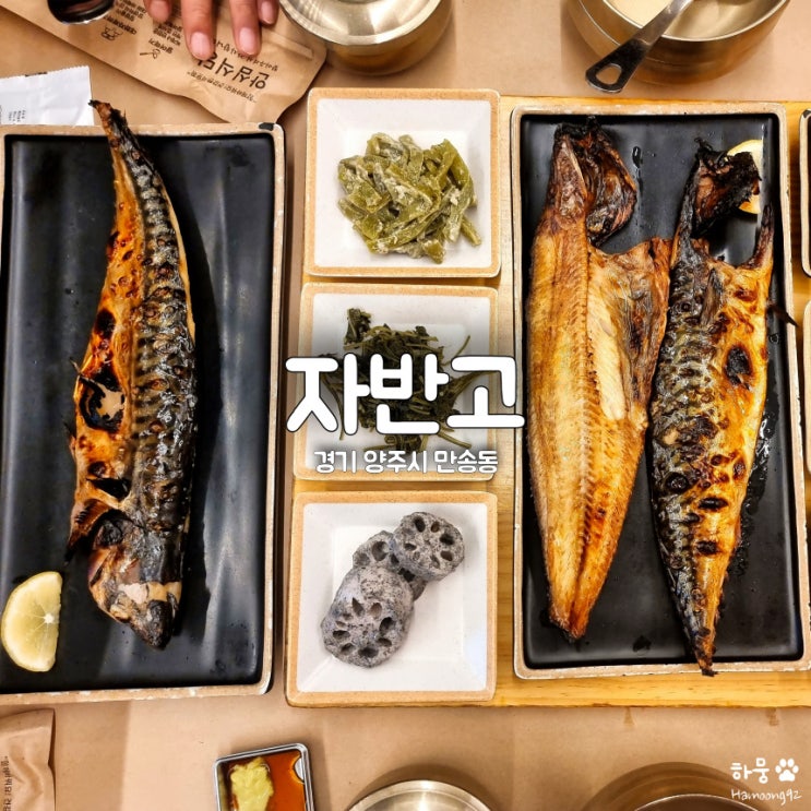  경기 양주시 만송동 화덕생선구이 맛집 자반고