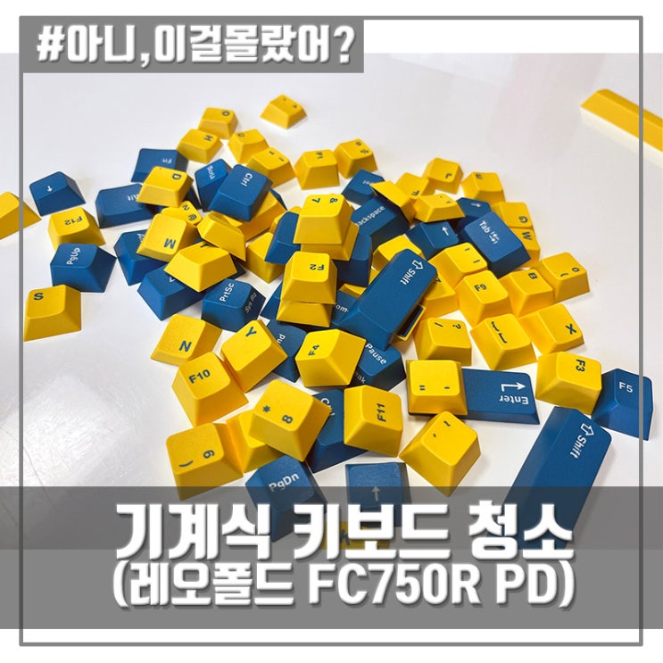 기계식 키보드 청소 (레오폴드 FC750R PD)