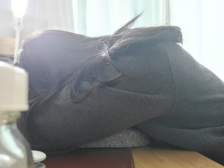  꿀자밍 낮잠베개 포스팅 사진 찍다가 잤습니다