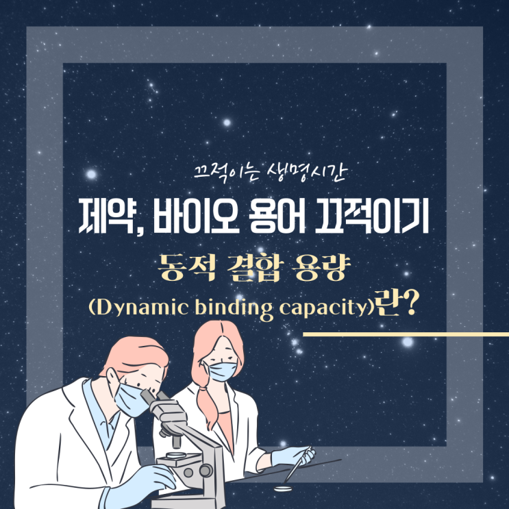  [크로마토그래피] 정제 공정 개발에서 알아야 할 동적 결합 용량(Dynamic Binding Capacity)이란?