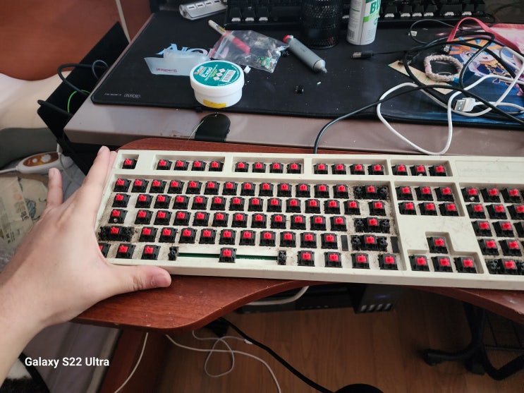  또 샀다. 중국산 레오폴드 FC900R 에버그린 한정판 키보드 그런데 키캡없음.