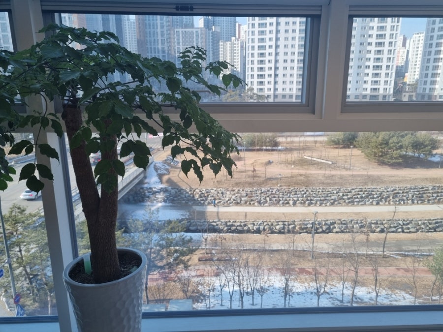 건약국 사진 2