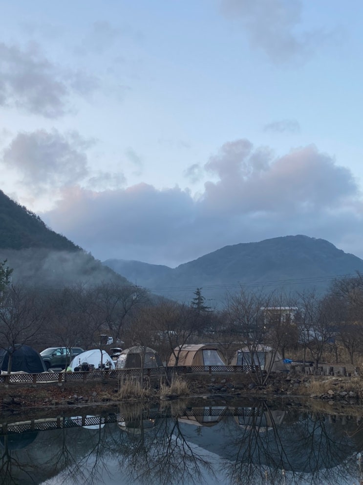  경북) 청도애견동반 연못 뷰 캠핑장 : 아이고 캠핑장(4번사이트/캠핑장소개)