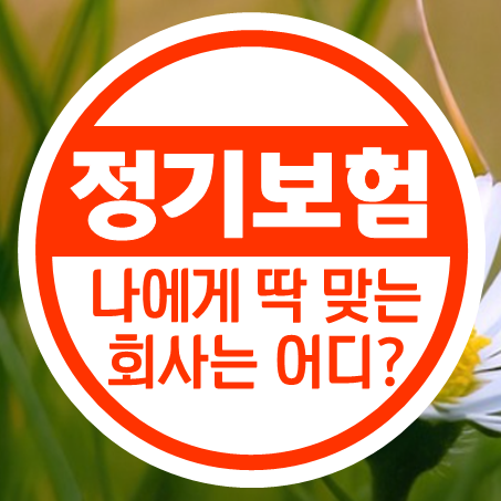  정기보험추천 내게 적합한 사망보험료 얼마인지 바로 알 수 있어요.