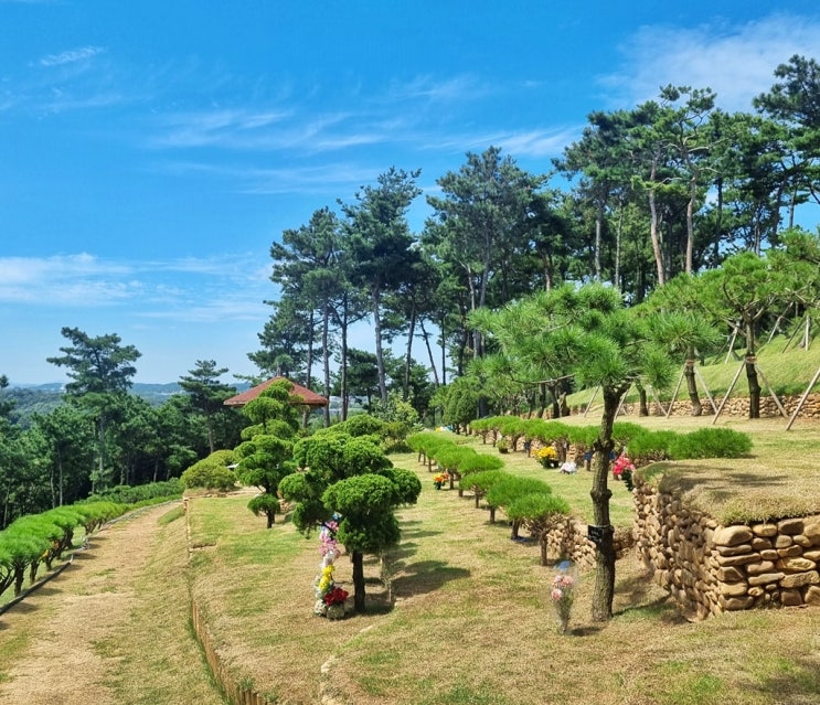  자연 수목장 이용 시 주의사항 알아보자