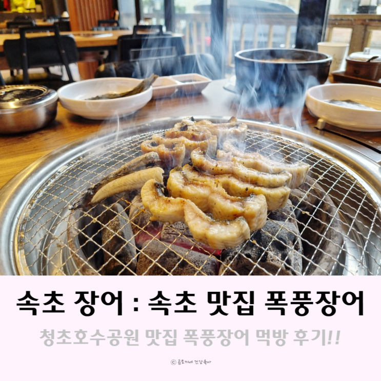 속초 장어 : 청초호수공원 맛집 폭풍장어 속초점 후기 속초 장어 : 청초호수공원 맛집 폭풍장어 속초점 후기