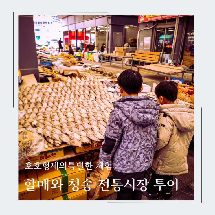  호호형제의 청송 전통시장 체험, 청송 오일장에서 태어나 처음 본 00은?
