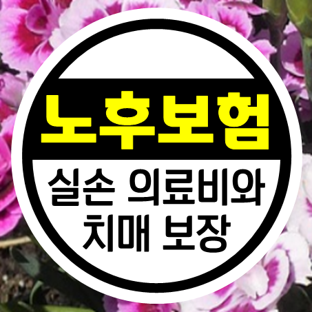  노후실손의료보험 가입 및 노인치매보험 추천 상품까지 손쉽게 알아볼 수 있어요.