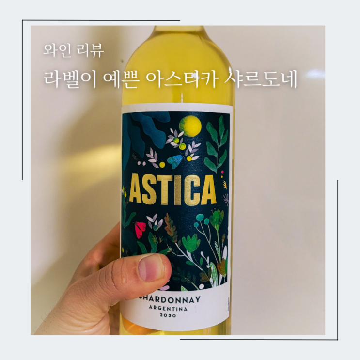  이마트 가성비 와인, 트라피체 아스티카 샤르도네 화이트 와인 솔직 시음 후기