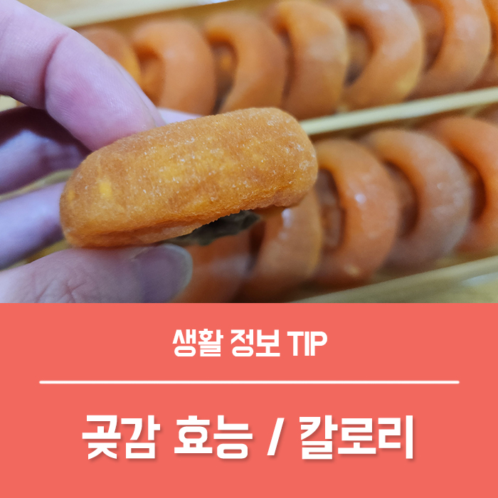  곶감의 효능 TOP 4, 곶감 효능 부작용 칼로리 보관법 총정리!
