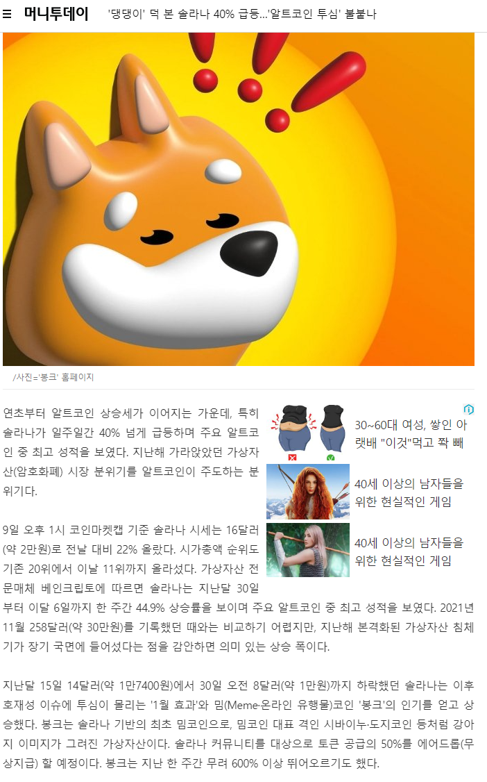 솔라나 전망, 차트, 갑자기 오른 이유 : 네이버 블로그