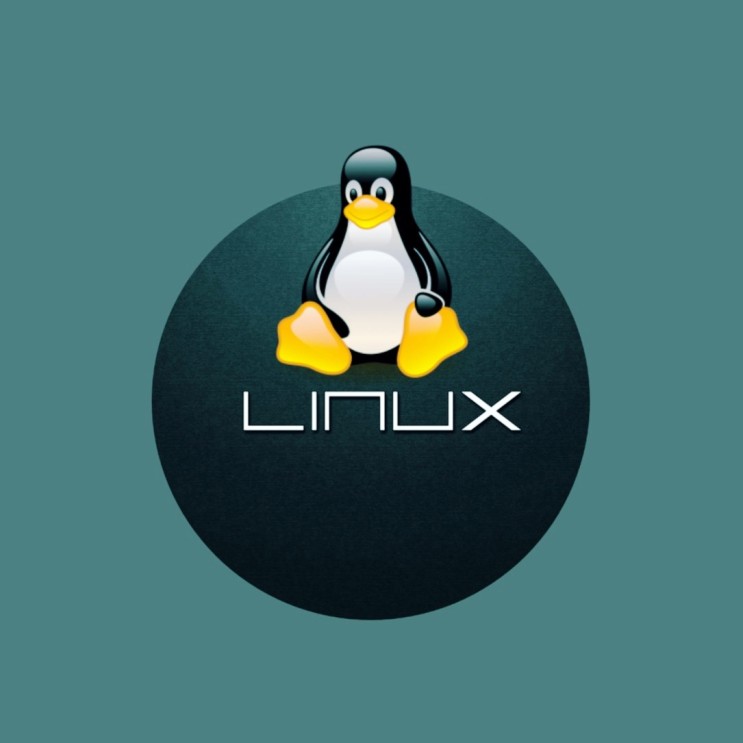 리눅스마스터 2급 1급 시험 구성, 후기 기반 독학 공부법