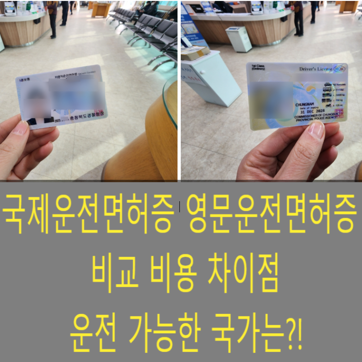  국제운전면허증 영문운전면허증 비교 비용 차이점 운전가능한나라