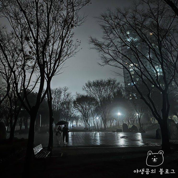  나태해진 이번주의 나를 반성하며, 운동과 독서