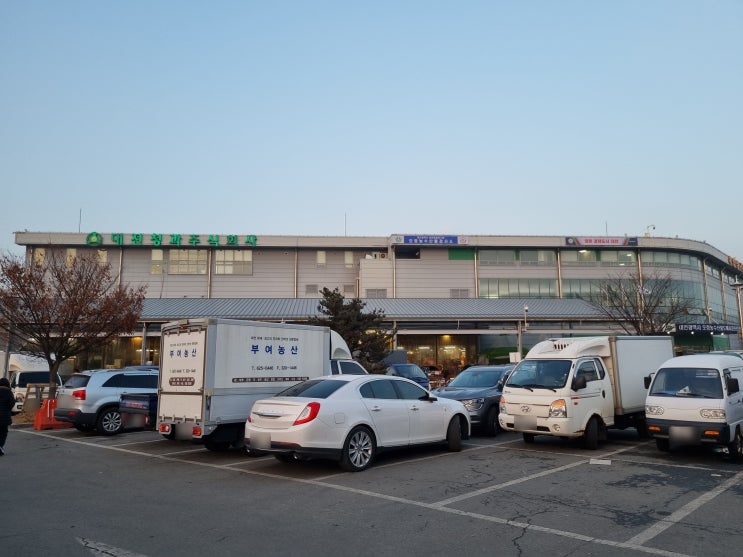  대전 대덕구 오정동 신선한 농산물과 수산물이 가득한 곳