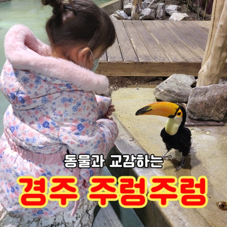  경주 아이와 가볼만한곳 실내 동물원: 주렁주렁