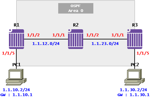 [OSPF] OSPF Case Study - Passive Interface(Nokia 7750 SR)