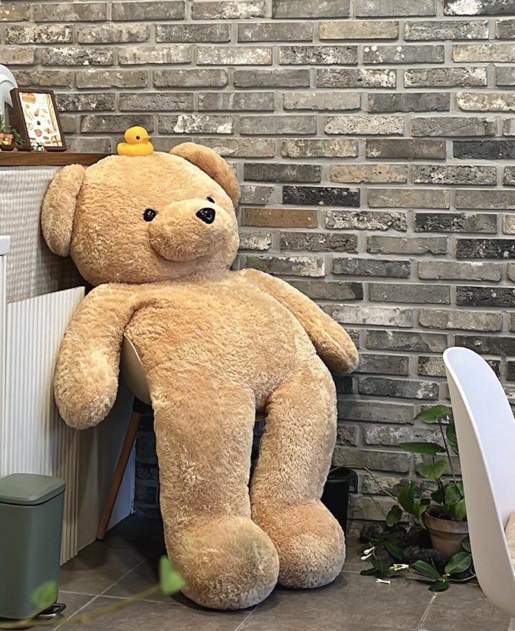  [양천향교카페] 곰숲카페 :: 귀여운 곰도리가 있는 숲 c(카페분위기, 전신거울이 있는 카페, 마곡 가볼만한 곳)