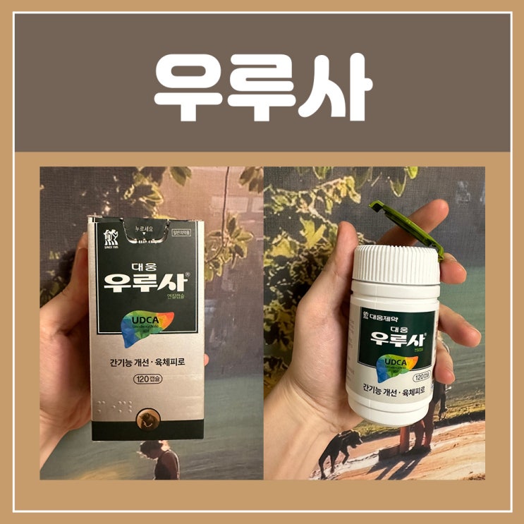  우루사약국 간장약 추천 우루사 효과 UDCA 리보플라빈