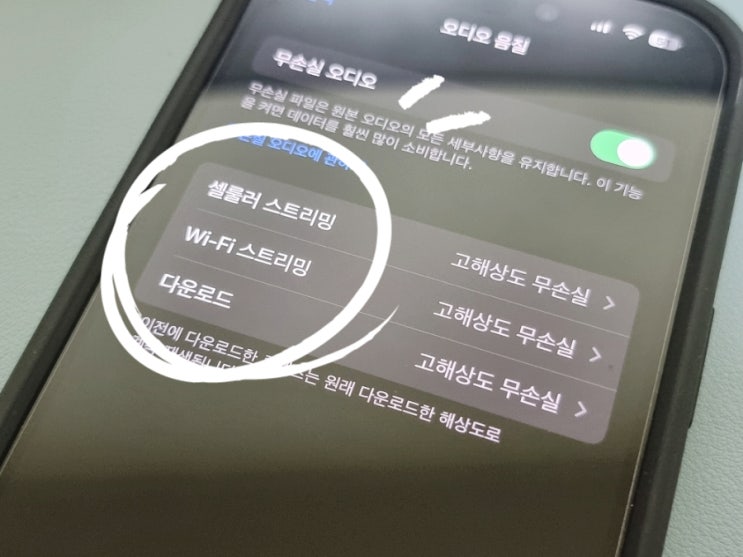  애플 뮤직 오디오 무손실 음질로 설정하는 방법은?