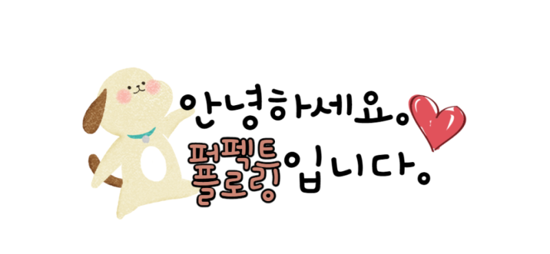 사진 5