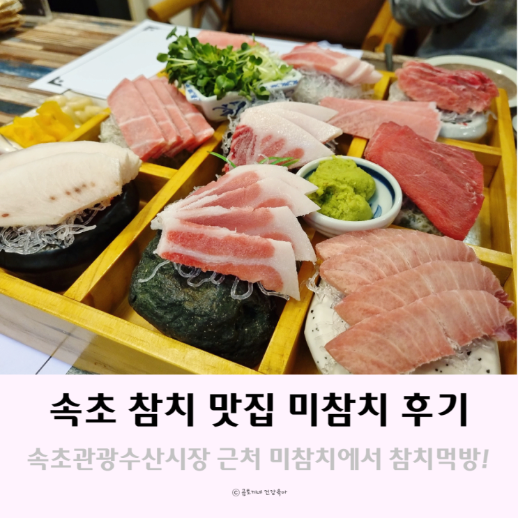 속초 참치가 맛있는 속초관광수산시장 맛집 미참치 후기 속초 참치가 맛있는 속초관광수산시장 맛집 미참치 후기