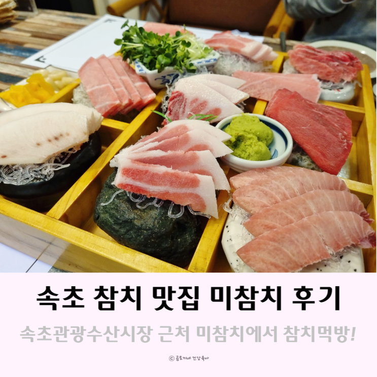 속초 참치가 맛있는 속초관광수산시장 맛집 미참치 후기