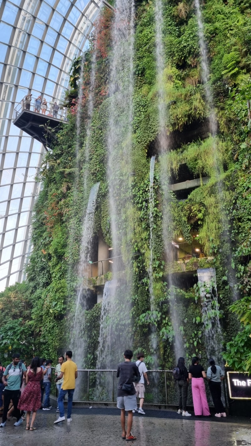 싱가포르 여행 가볼만한곳 가든스바이더베이, 플라이어, 주롱새공원 : 네이버 블로그