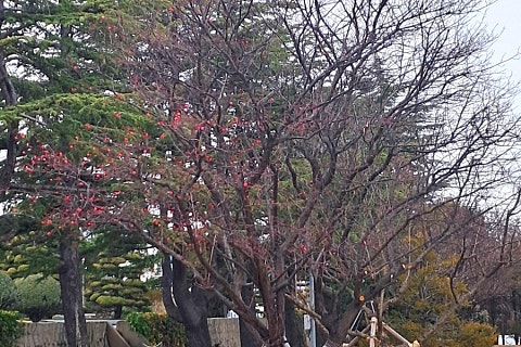 이삼공원 이미지