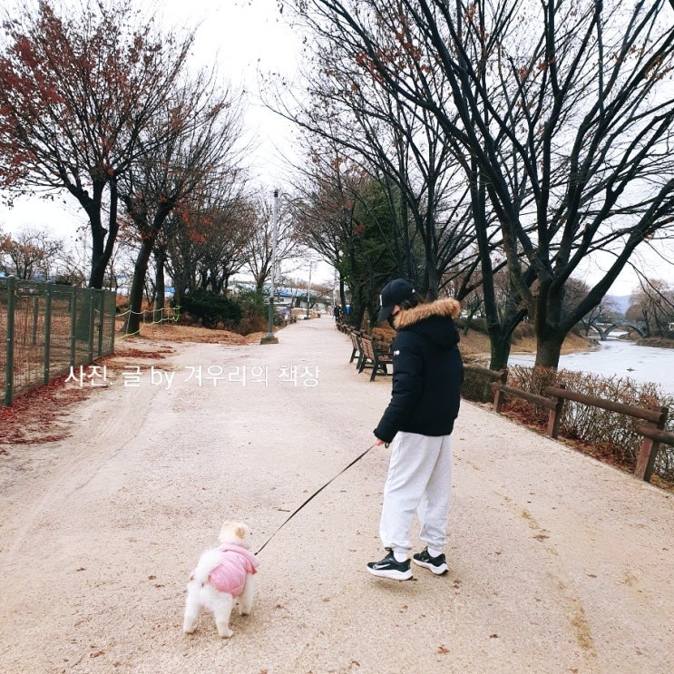  강아지와 산책하기