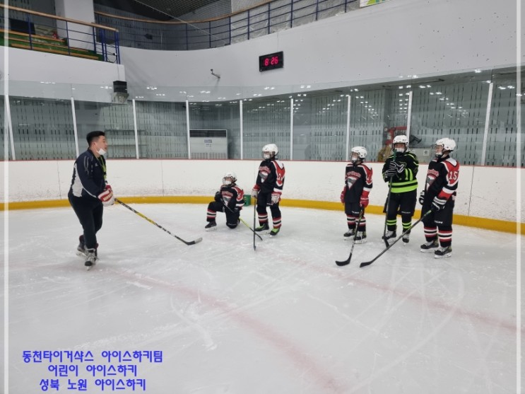 동천타이거샥스 아이스하키팀 어린이 아이스하키 성북 노원 아이스하키