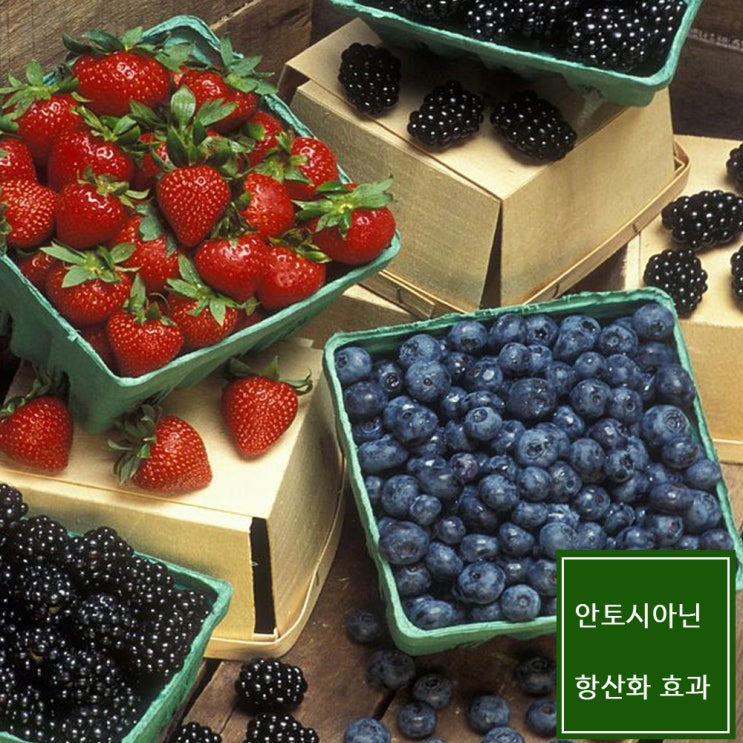  안토시아닌, 항산화 성분의 효능