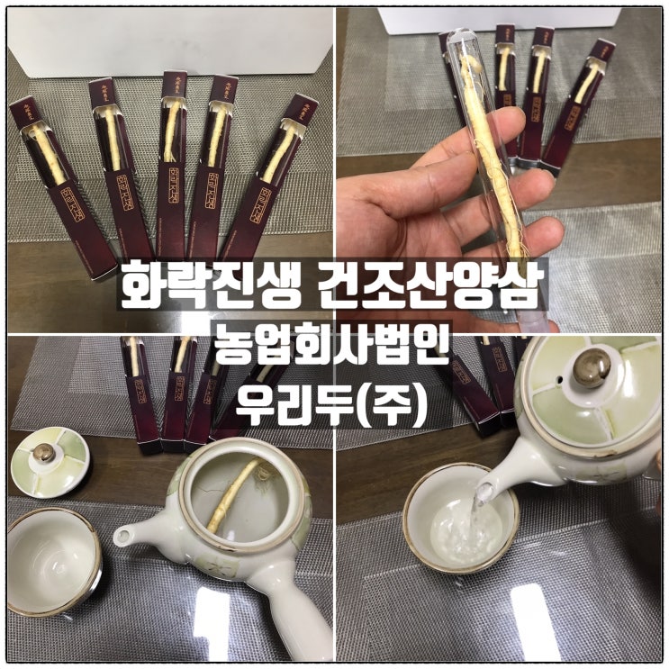 화락진생 건조산양삼 피로회복 및 면역력 향상에 도움 주는 산양삼차 음용 리뷰 화락진생 건조산양삼 피로회복 및 면역력 향상에 도움 주는 산양삼차 음용 리뷰
