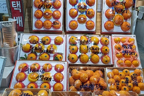 오늘청과2 이미지