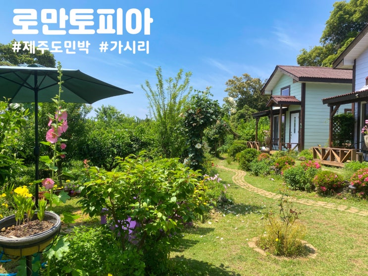 아름다운 정원과 유기농 감귤밭 서귀포 독채민박 표선면 가시리 로만토피아 오름추억 아름다운 정원과 유기농 감귤밭 서귀포 독채민박 표선면 가시리 로만토피아 오름추억