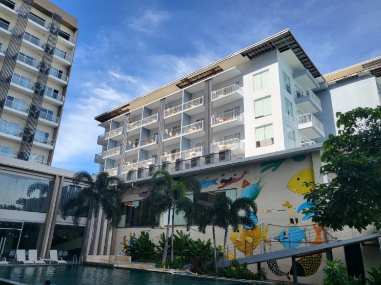  세부에스코트 세부황제투어 세부황제여행 세부밤문화