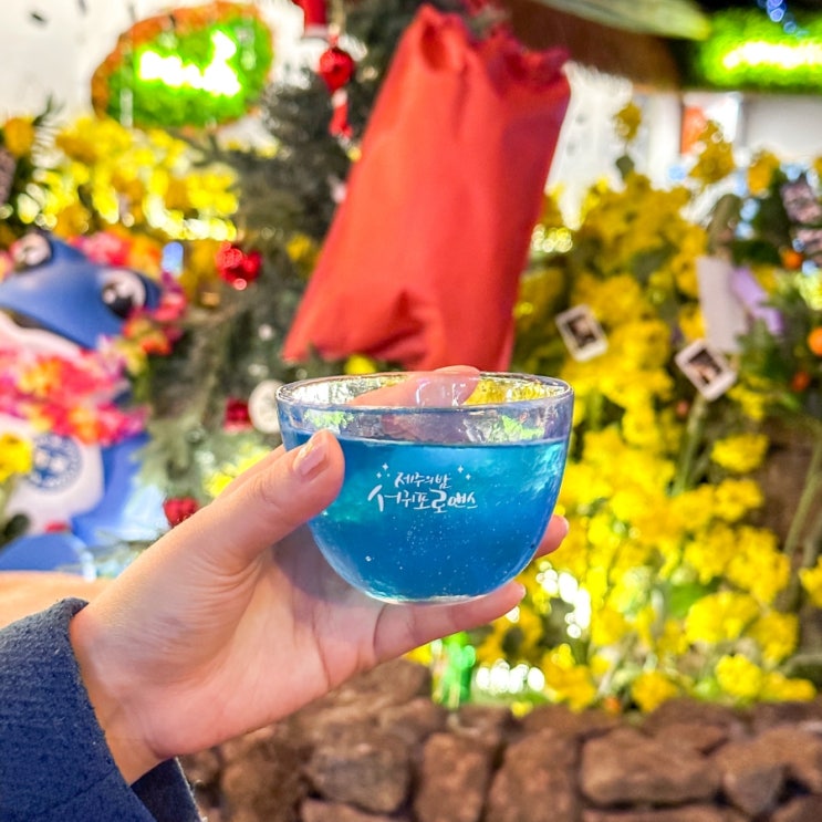  전주 신시가지 술집 서귀포로맨스 전주신시가지점 제주도에서 먹는듯한 분위기와 맛있는 안주까지